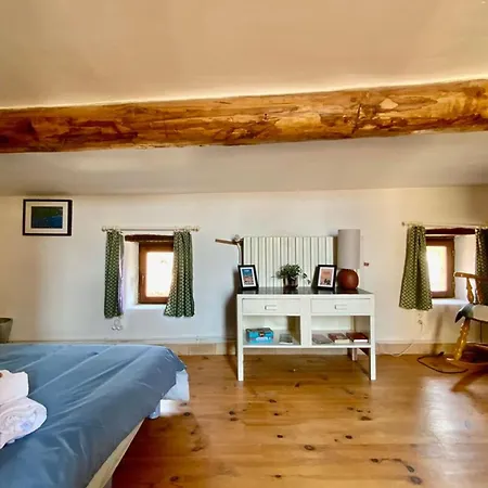 L'uzetienne- Large With Pond And Patio!
